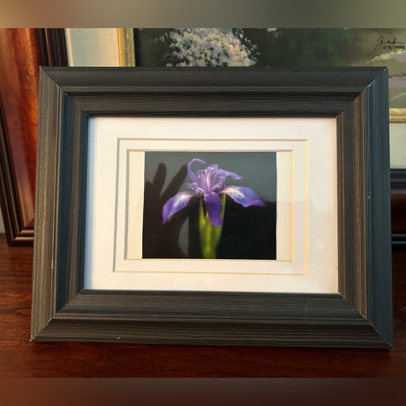 Two Beautiful Orchid Pictures in Picture Frames - Picture 1 of 4
